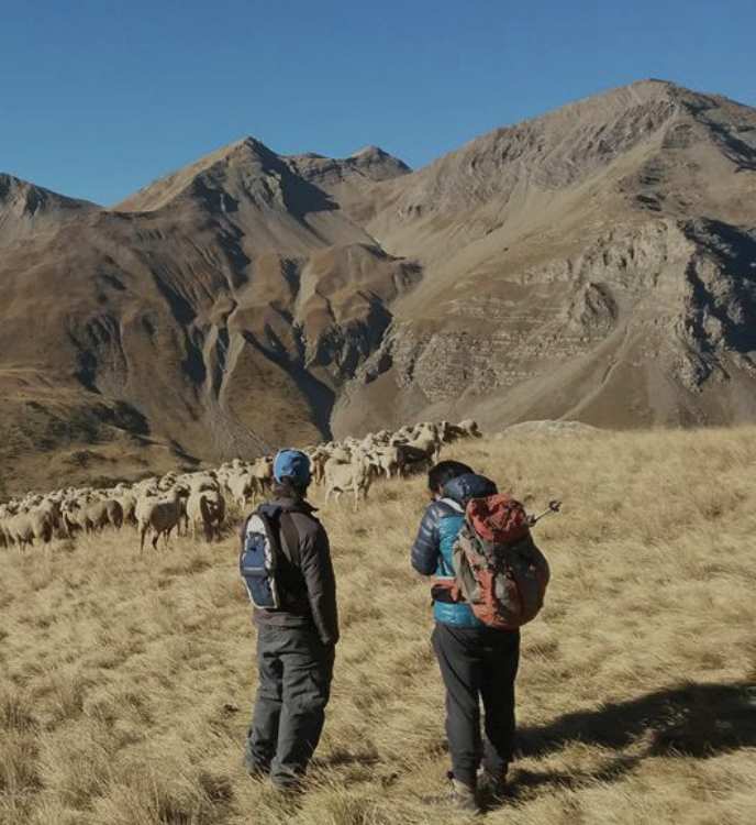 Séjour à la montagne